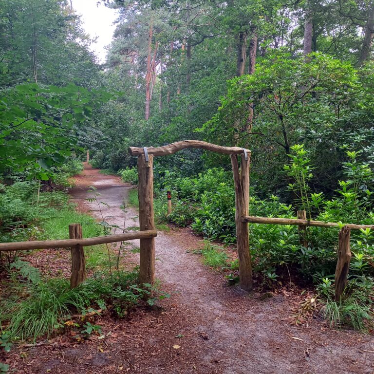 Hoe Aesphyre ontstond